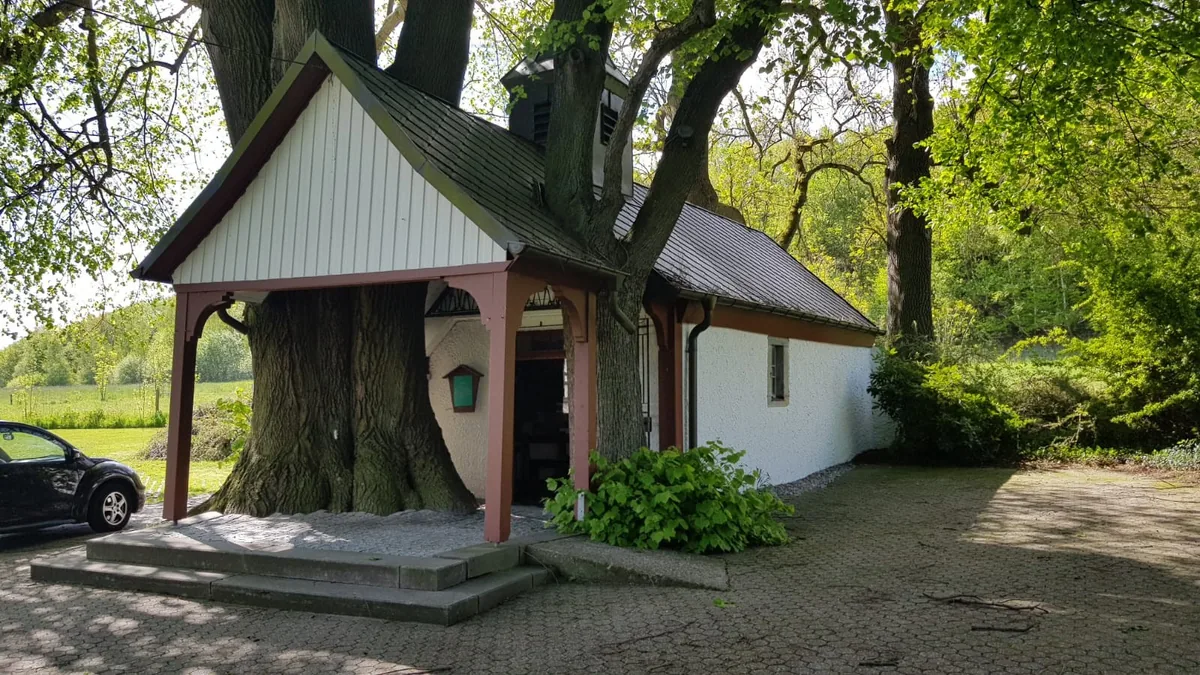 Der besonderste Baum im Westerwald