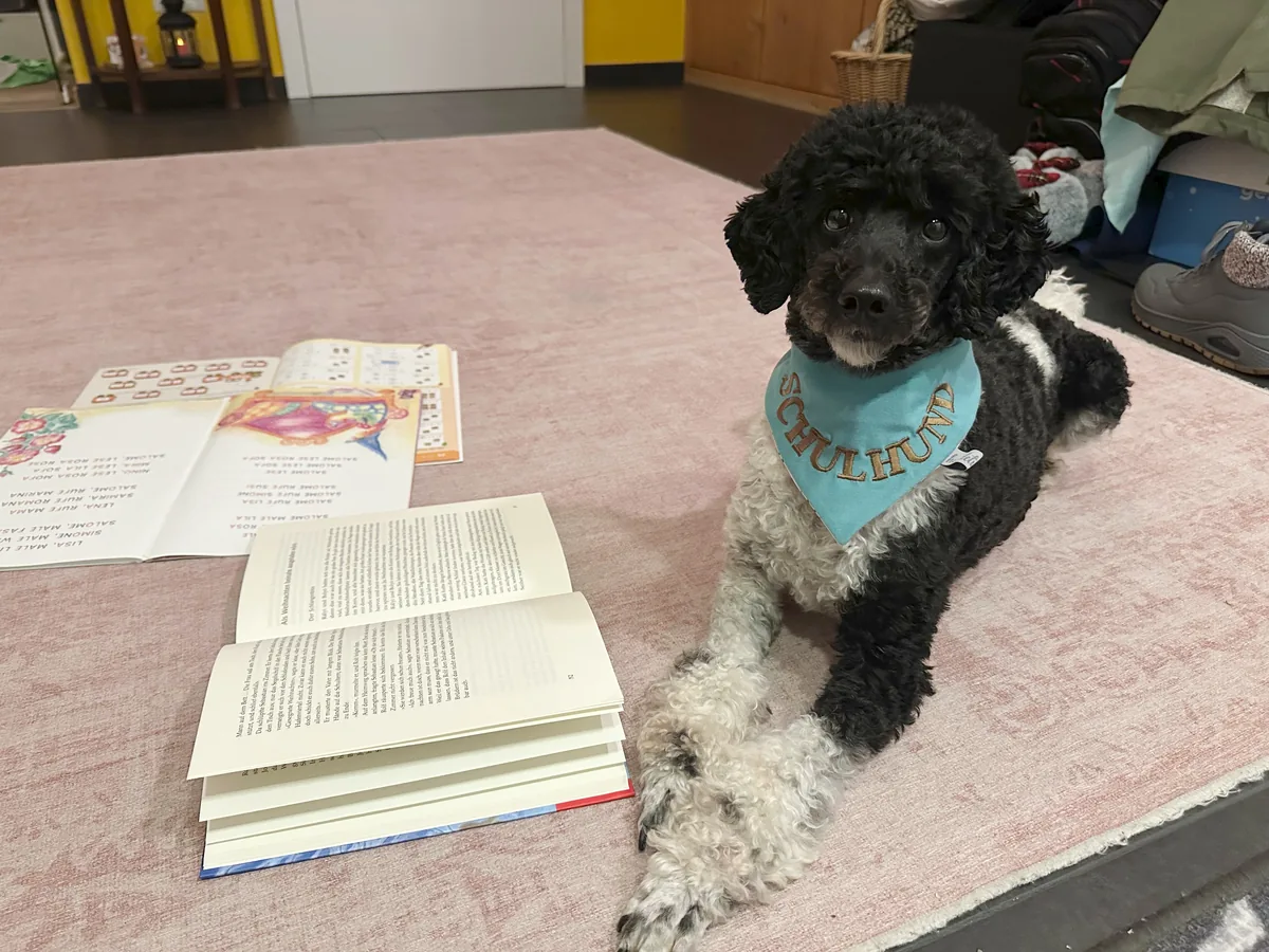 Schulhund Nash besucht die erste Klasse der Freien Waldorfschule Mayen